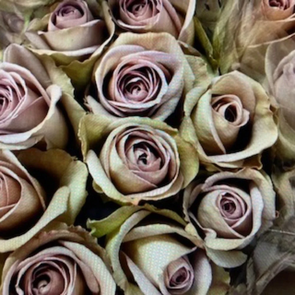 Behnaz Sarafpour Silk Blend Shift Dress - Picture 10 of 13